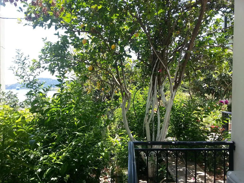 Friderica House Ξενοδοχείο Πόρος 0*,  Ελλάδα