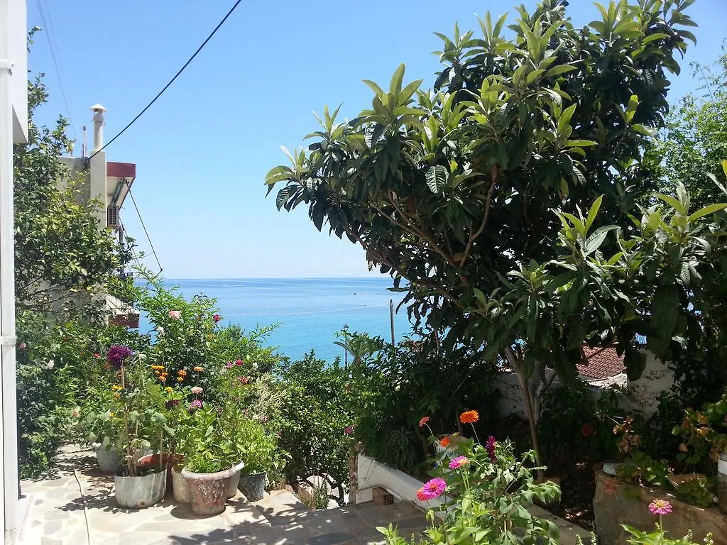 Friderica House Ξενοδοχείο Πόρος Πανσιόν